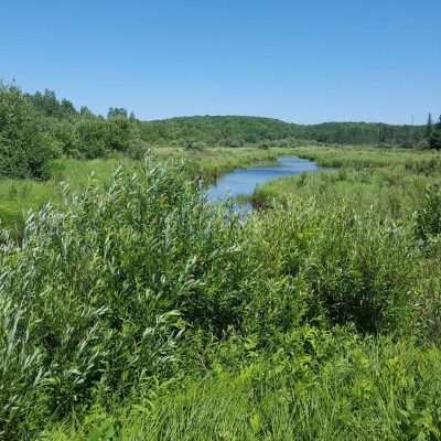 This creek flows between Lake Emely and Chicagon Lake and flows across U.S. 2 on the way to Iron River.