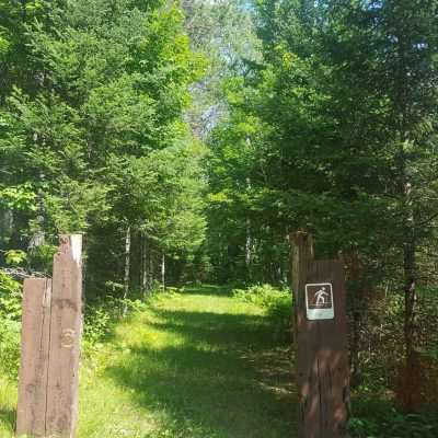 The cross country ski trail is not marked on google maps. This entrance is off Forest Service Road 2046 right across the pine river next to Chipmunk creek.