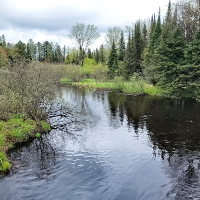 The Brule looking Down River, Wisconsin to the Right, Michigan to the Left.