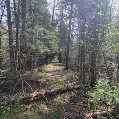 This is the part of the trail to the fishing point on the Brule River. It is actually an old rail line graded and elevated over the spring feed swamp. There are several springs in the marsh. Ahead is the Brule River To the right is Pentoga Road.