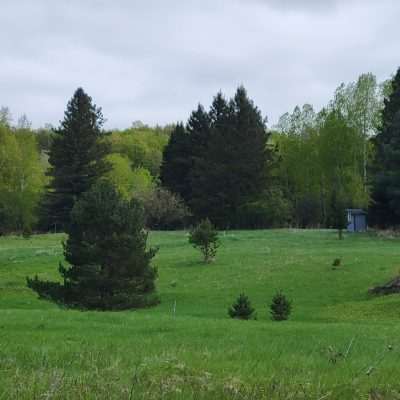 The Michigan side of the Brule river the Meadow below Old Pentoga. Zoom of the meadow at YooperWebCam.Com Headquarters. Crabtree in blossom is the lower property line, goes up the the outhouse. The ruins of an old home, and Cherry street is at the top of the hill.