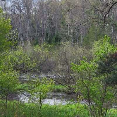 The is the Brule river early spring 2022 from Pentoga road looking across into Wisconsin.