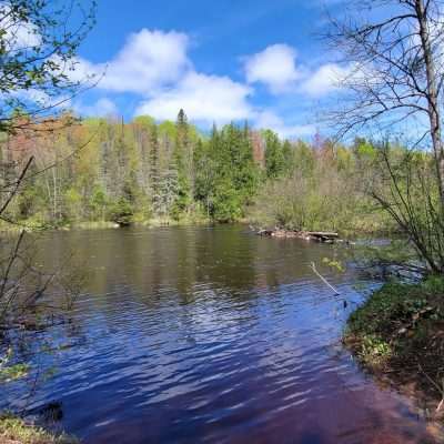 This is early spring 2022. In the summer you can sit out on the river in a chair and cool off. The Artesian Spring is here also.