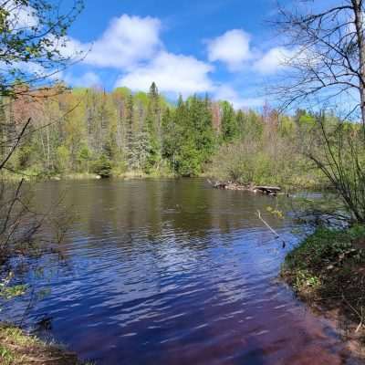 This is early spring 2022. In the summer you can sit out on the river in a chair and cool off. The Artesian Spring is here also.