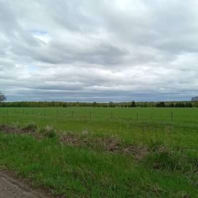 This is an old cleared farm land that is used as a private landing airport as well as an active farm. This is early spring of 2022 on the middle part of the runway and field.