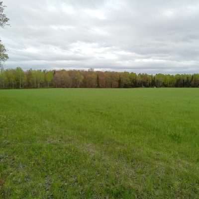 This is an old cleared farm land that is used as a private landing airport as well as an active farm. This is early spring of 2022 on the far end of the field.