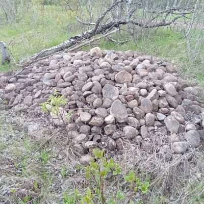 Rock piles along State line Trail from clearing of old farm land. These rocks could be full or Iron, Silver, and Bronze in some rare cases.