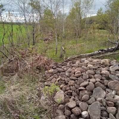 Rock piles along State line Trail from clearing of old farm land. There are lot of these rock piles for round rocks left from the ice age and glaciers. A lot of times they are made into walls, sometimes like this just piles up next to a cleared field.