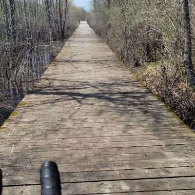 Apple Blossom Trail is a joy with nice wooden bridges over swampy areas. Be extra aware riding here when it is wet, as the wooden bridges get very slippery.