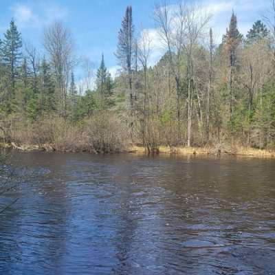 This is the pine river at Chipmunk Rapids Campground where the Artesian Well Spring is located. This is Spring 2023 and the water is somewhat high.