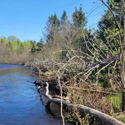 Brule river looking down river in early spring. This was a bridge crossing at one time, the bridge lost in a spring food. Left bank is Michigan, right bank is Wisconsin.