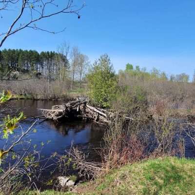 Another bridge across the Brule river that was lost to floods. Across the back in Michigan and up a ways would be the State Line Trail.