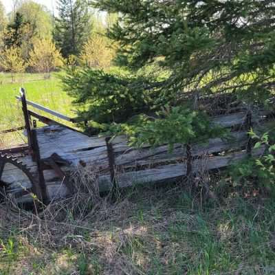 Exploring along the Brule River finding old farm equipment and this piece is grown right into the tree. The area was very active 1900-1950 with Lumber and Mining.