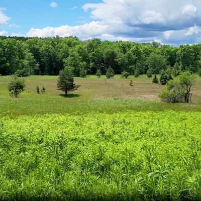 Pentoga Meadow - Brule River - Michigan - Wisconsin