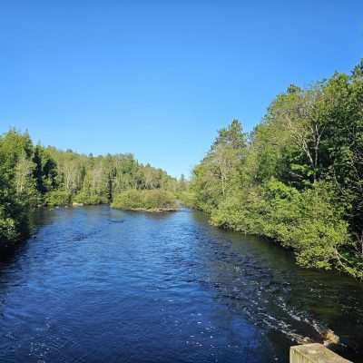 Serene river flowing through lush green forest.