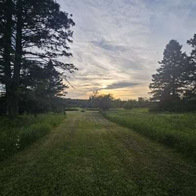 Sunset over grassy path with trees