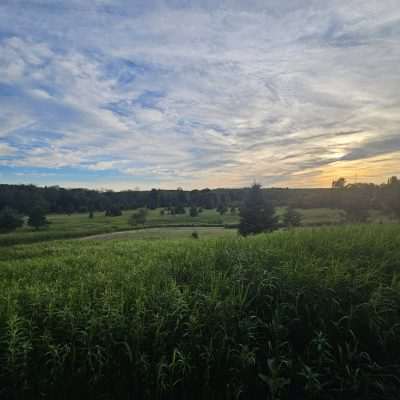 Scenic meadow with a sunset.