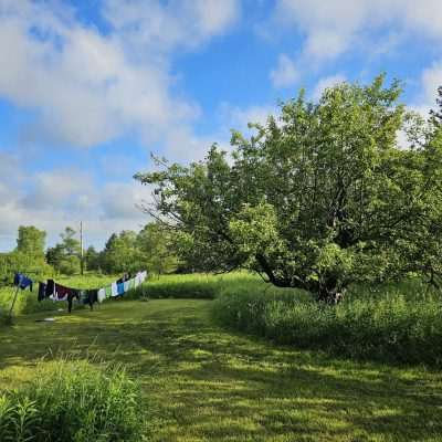 Clothesline with drying clothes in green field