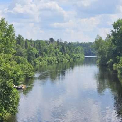 Peaceful river surrounded by lush green trees