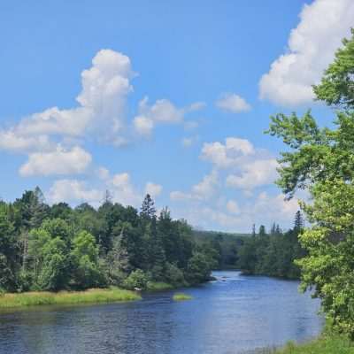 Serene river flowing through dense green forest.