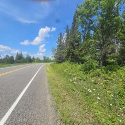 Rural road alongside lush forest and blue sky.