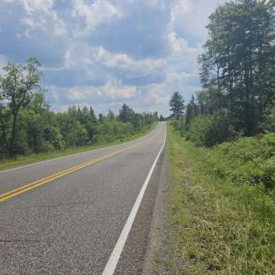 Empty rural road through a forest on a sunny day.