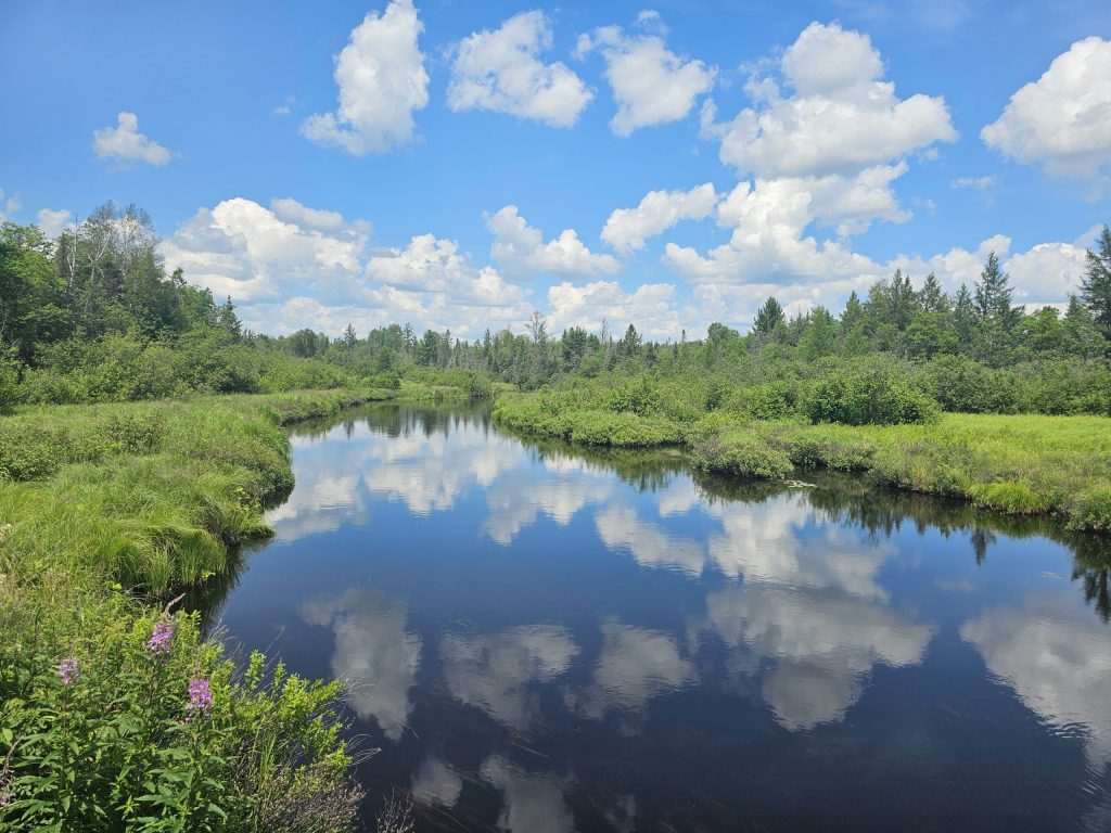 Peaceful stream with lush greenery and clouds.
