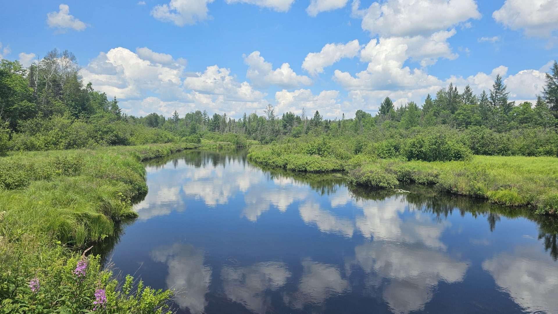 Peaceful stream with lush greenery and clouds.