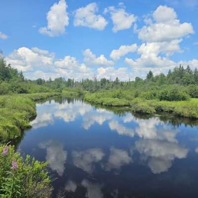 Peaceful stream with lush greenery and clouds.