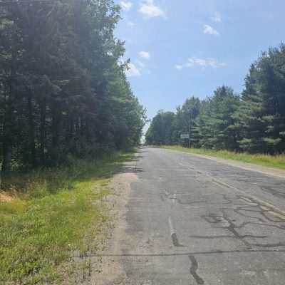 Country road with trees on a sunny day