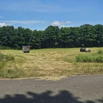 Mowed field with tractor and hay bales.