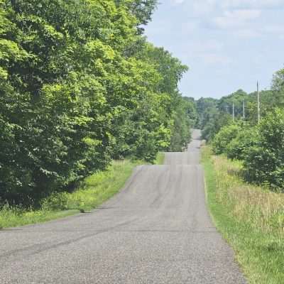 Country road lined with lush green trees.