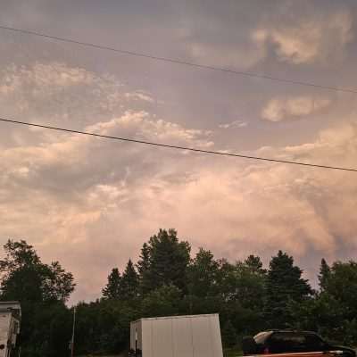 Cloudy sky over trees and parked vehicles