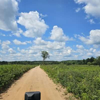 Dirt road through field under blue sky with clouds.