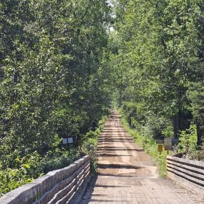 Dirt road through dense forest with wooden bridge.