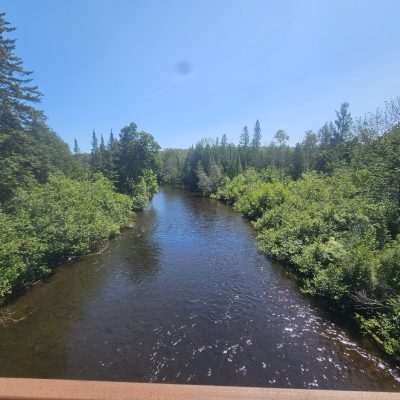 Serene river flowing through lush green forest