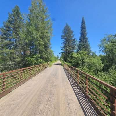 Forest trail bridge under clear blue sky