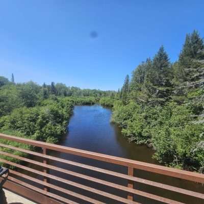 River view from bridge with trees