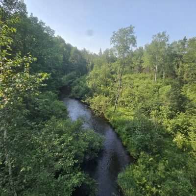 Lush forest with winding river under blue sky