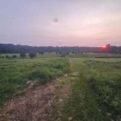 Sunset over a grassy field with trees.