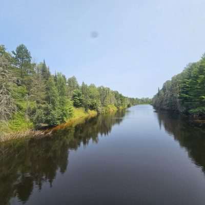 Calm river surrounded by green trees.