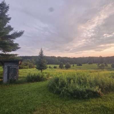 Green meadow with small shed at sunrise