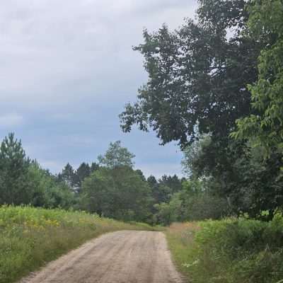 Dirt path through green forest under cloudy sky.