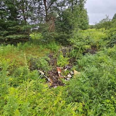 Overgrown area with scattered debris and trees.