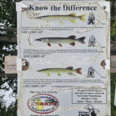 Sign explaining differences between Muskellunge and Northern Pike.