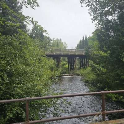 Old wooden bridge over forest stream