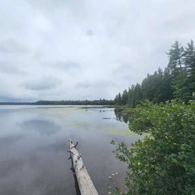 Tranquil lake with cloudy sky and green forest