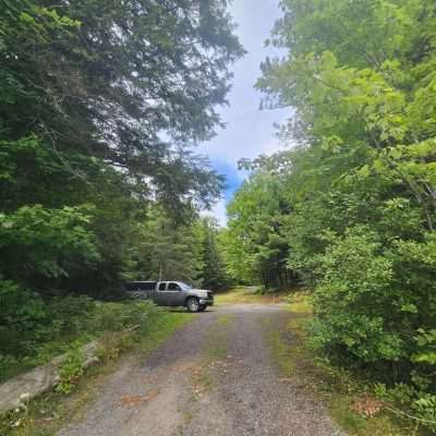 Truck parked on a forest trail.