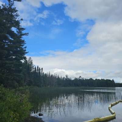 Scenic lake view with trees and cloudy sky