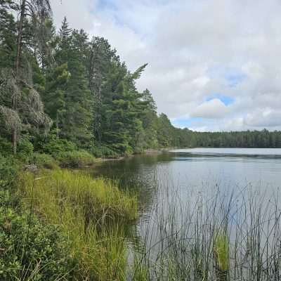 Serene forest lake with cloudy sky